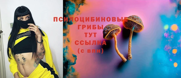 круглые Гусиноозёрск