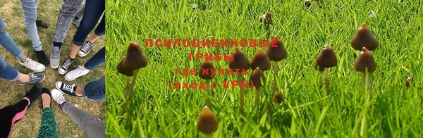 круглые Гусиноозёрск