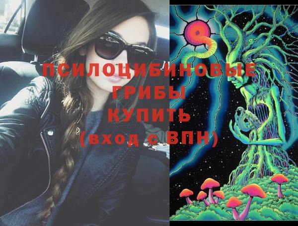 молекула духа Сосновый Бор