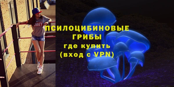 PSILOCYBIN Гусев