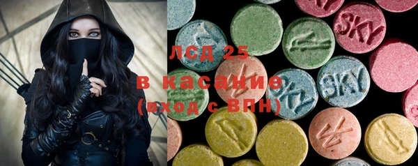 PSILOCYBIN Гусев