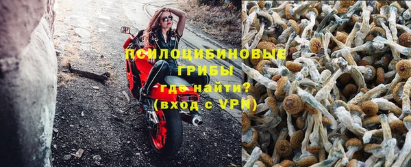 круглые Гусиноозёрск